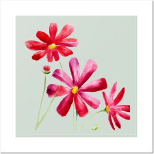 Red cosmos flowers Posters and Art